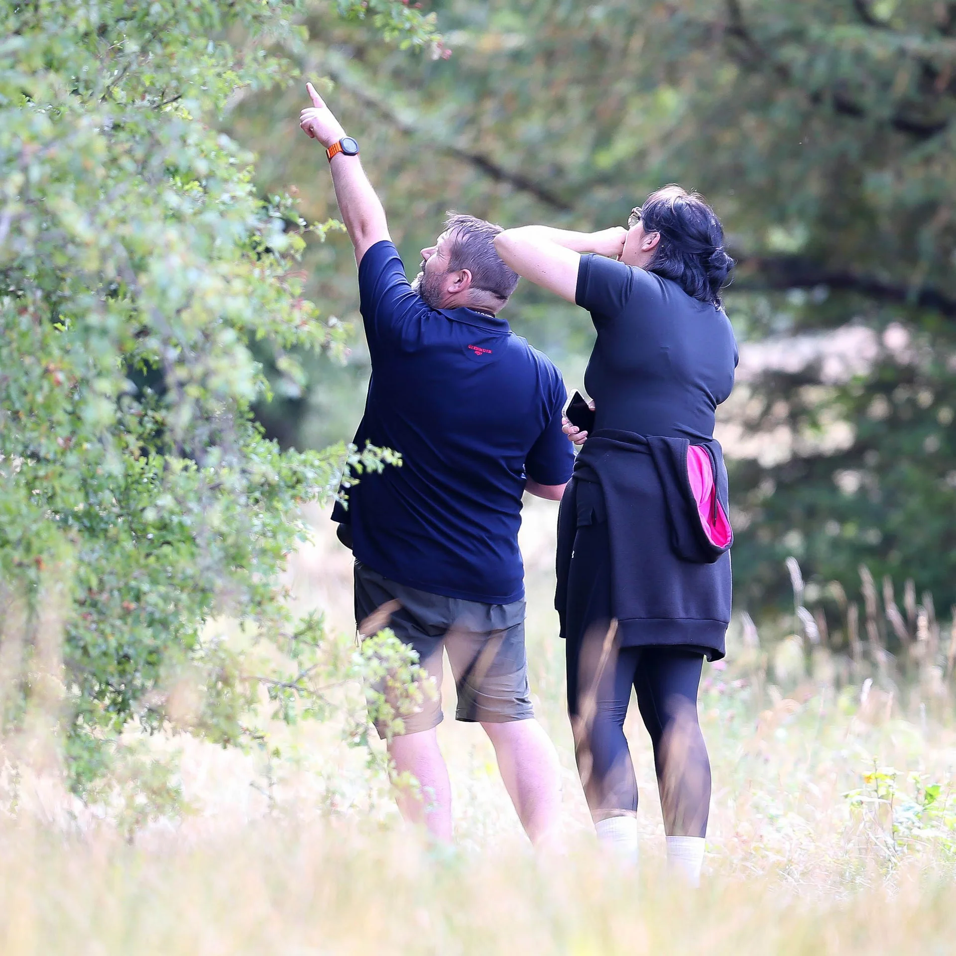 A man points up at a tree while a woman looks on beside him.