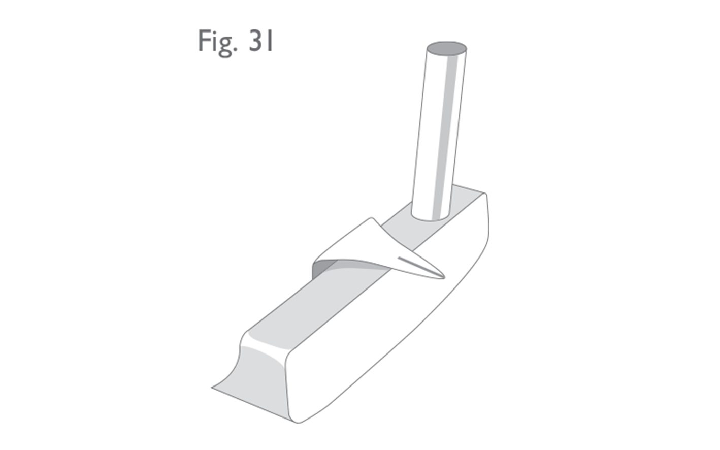 Fig 31:  Features extending ahead of the face