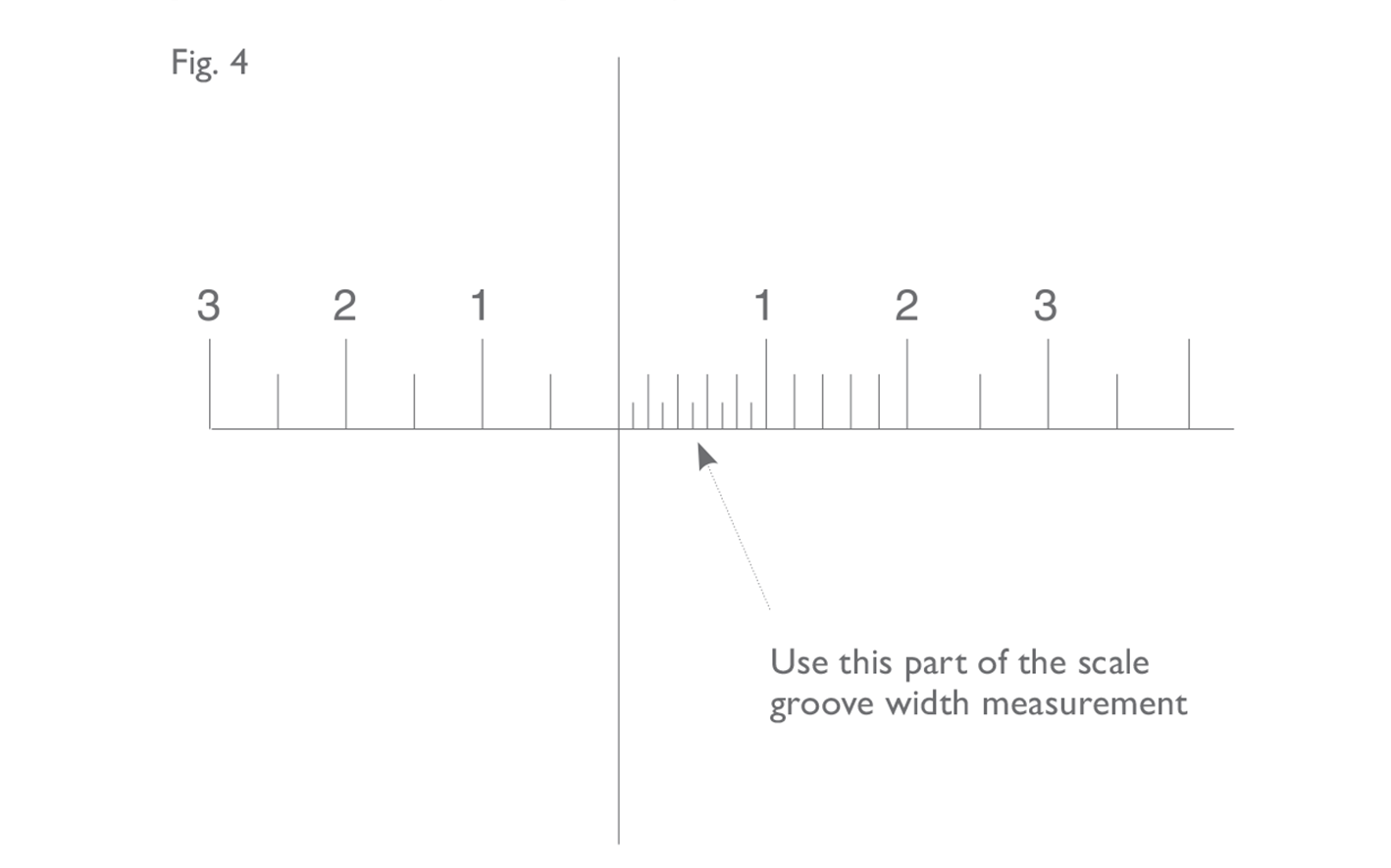 SuppPapB Fig 4:  Magnifier scale