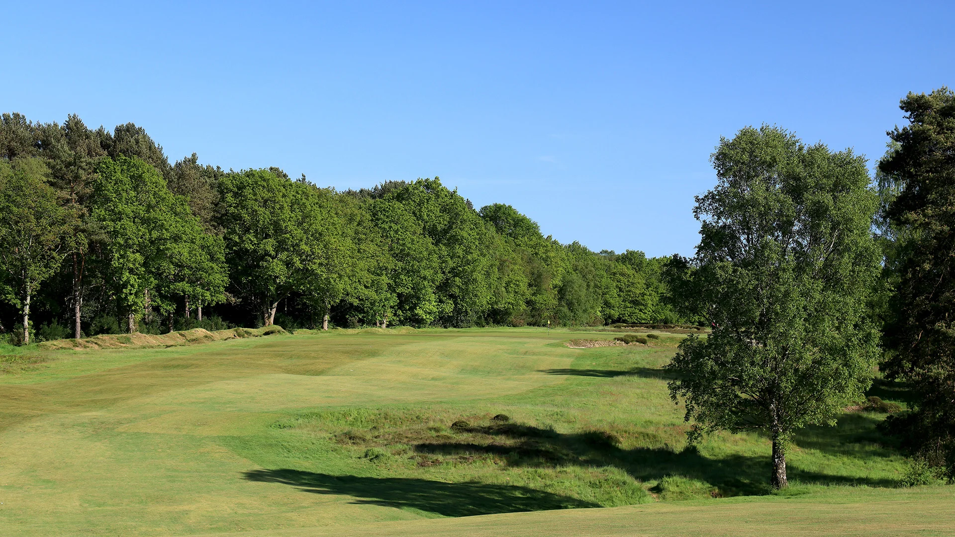 The 2nd hole of the Old Course at Walton Heath