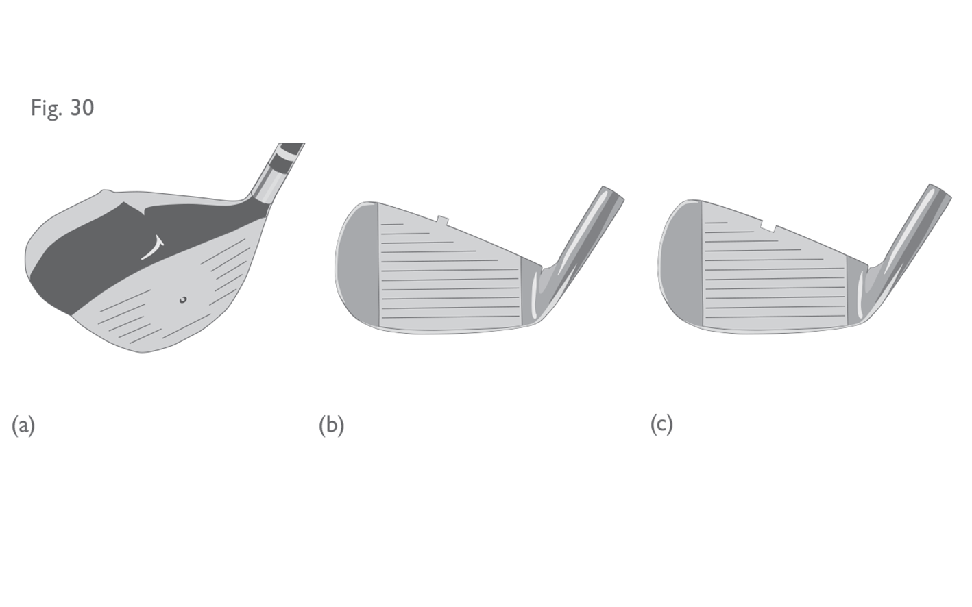 Fig 30 a b c:  Features extending into the face