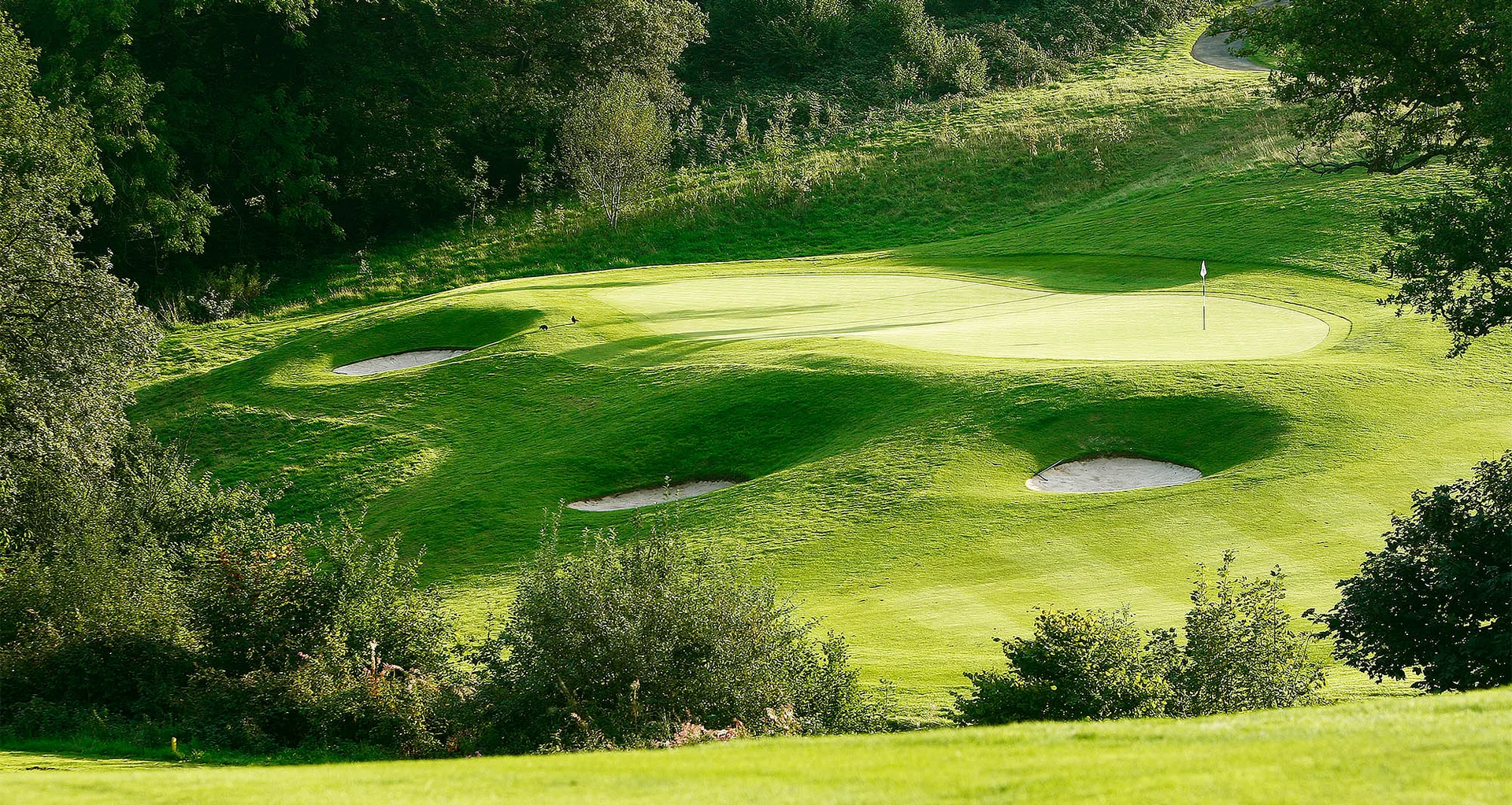 A sun-soaked green at Celtic Manor, surrounded by three bunkers.