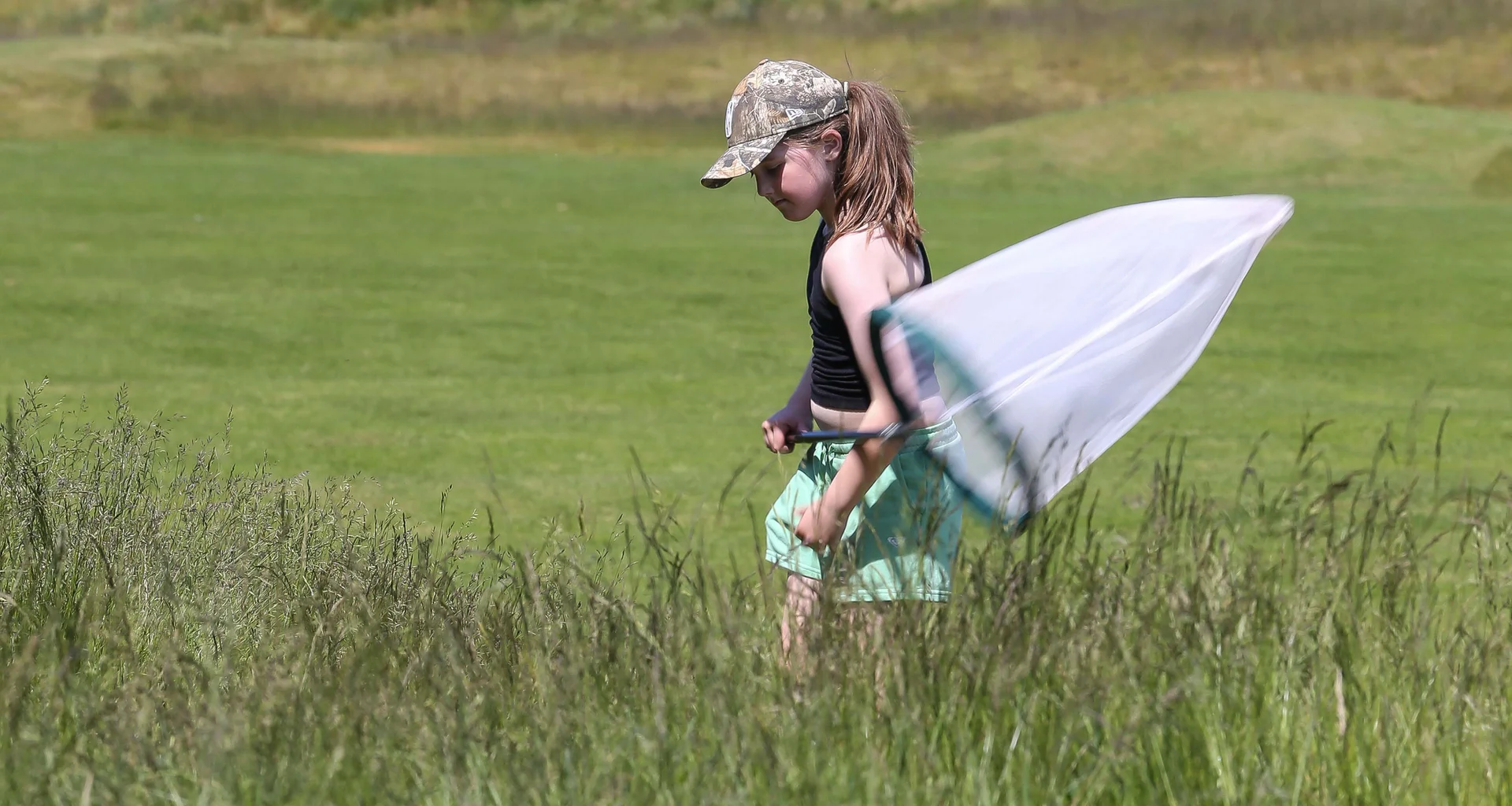 The R&A has launched a BioBlitz Toolkit designed to help golf clubs around the world identify, record and celebrate the wildlife found on their courses.