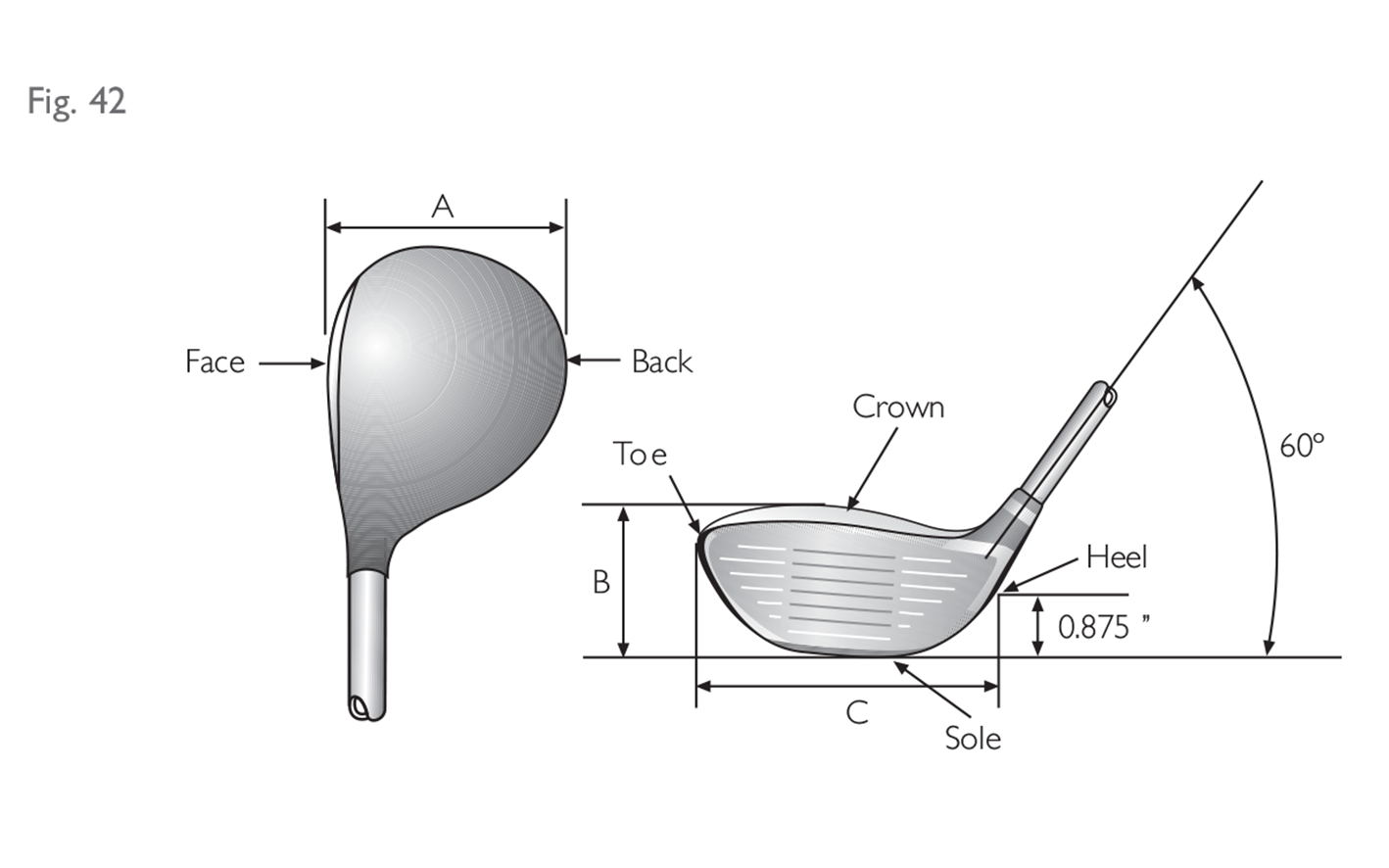 Fig 42:  Head dimensions (woods)