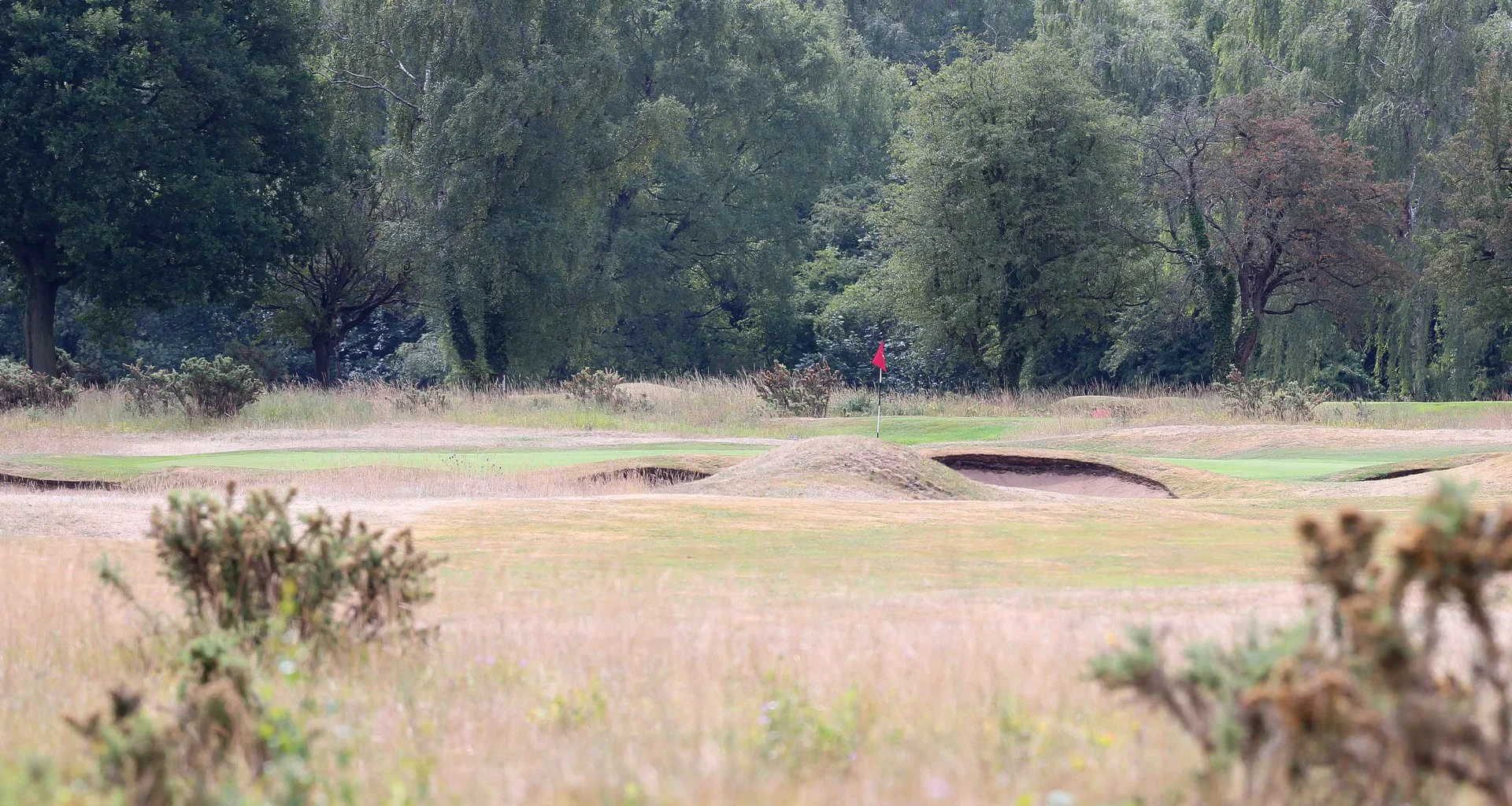 A view of a green at Lindrick Golf Club at a previous BioBlitz event.