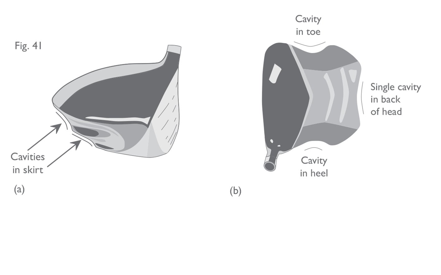 Fig 41 a b:  Cavities in head
