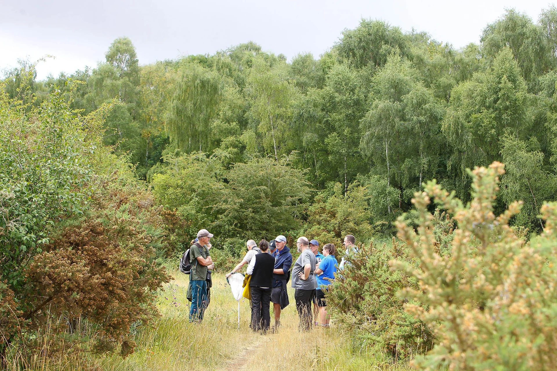 A group of people stand together in between gorse bushes at the side of a golf fairway.