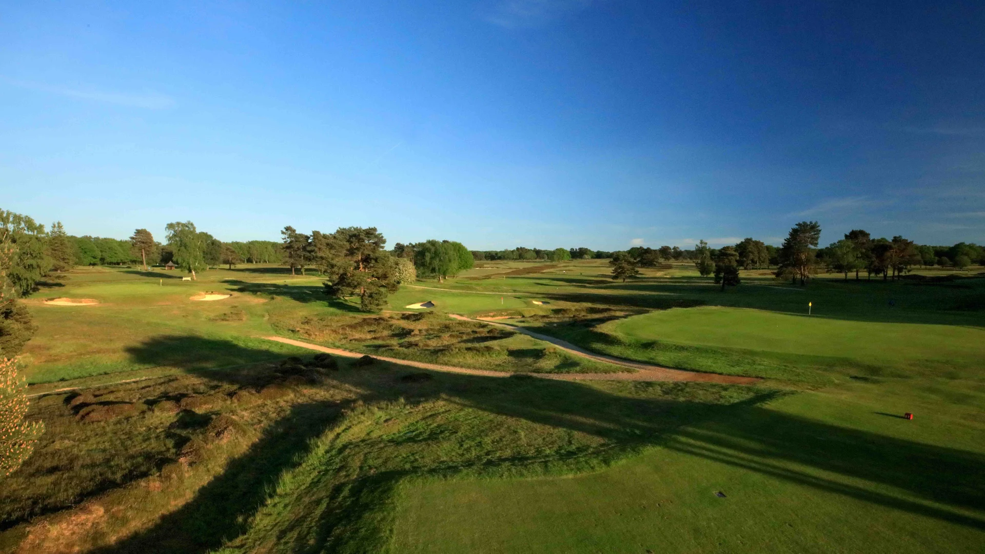 A general view of Walton Heath.