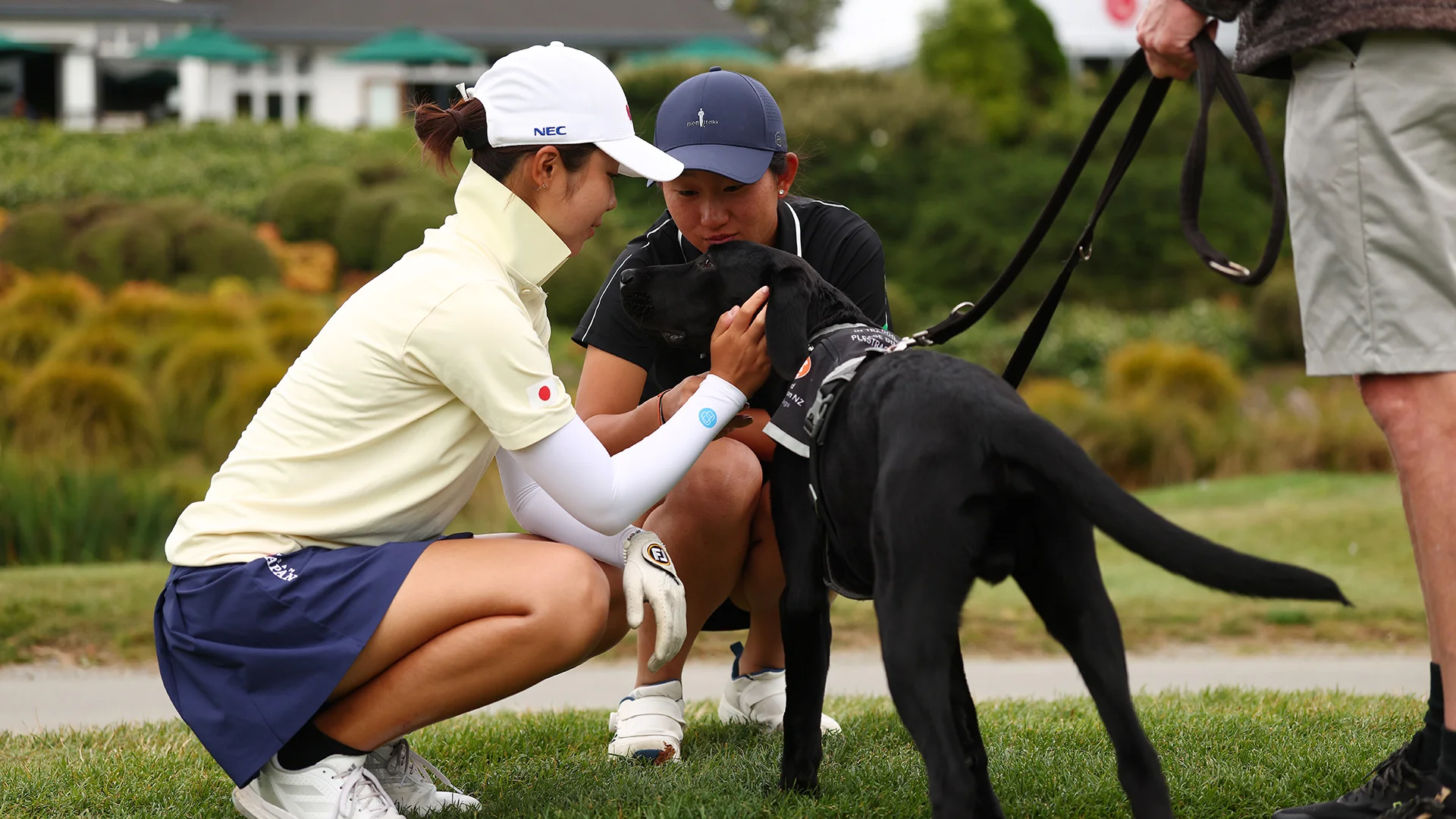 Rino Sato and Menghan Li say hello to a dog at Royal Wellington