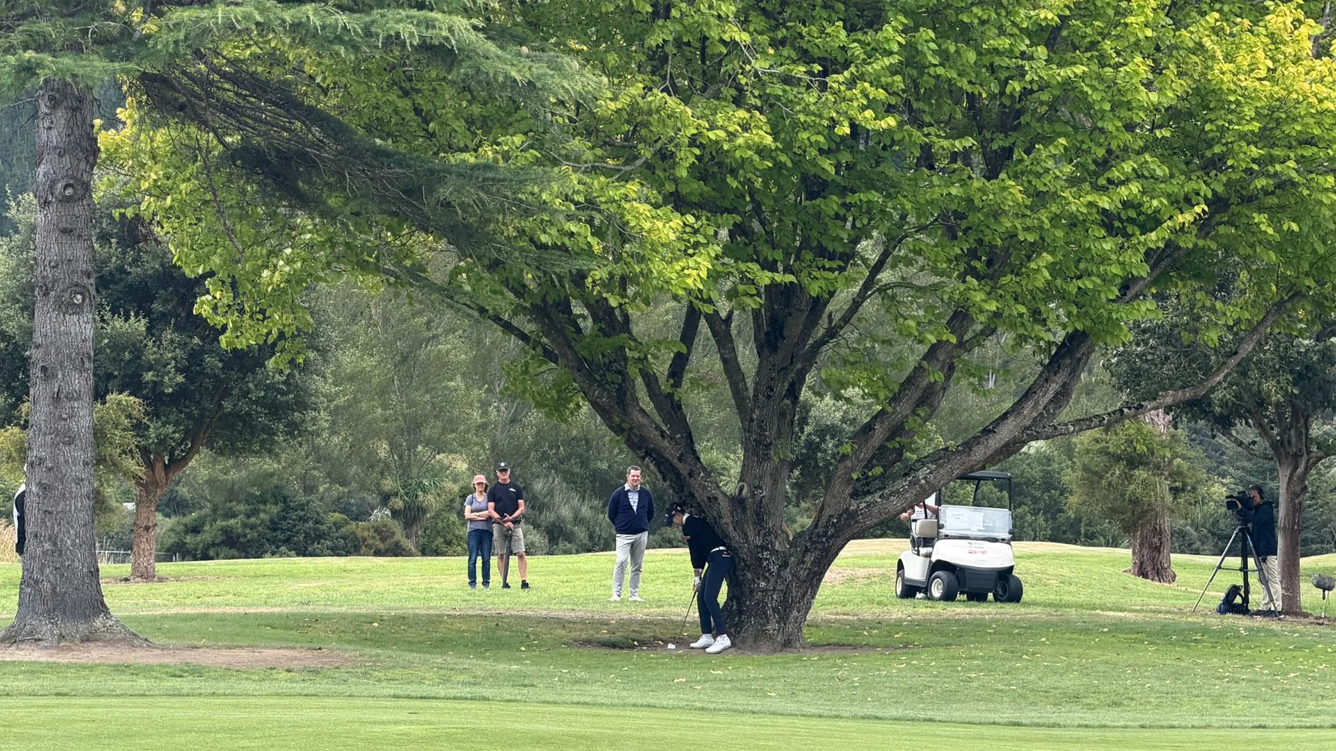 Leader Yunseo Yang finds herself in an awkward position on the 7th hole at Royal Wellington