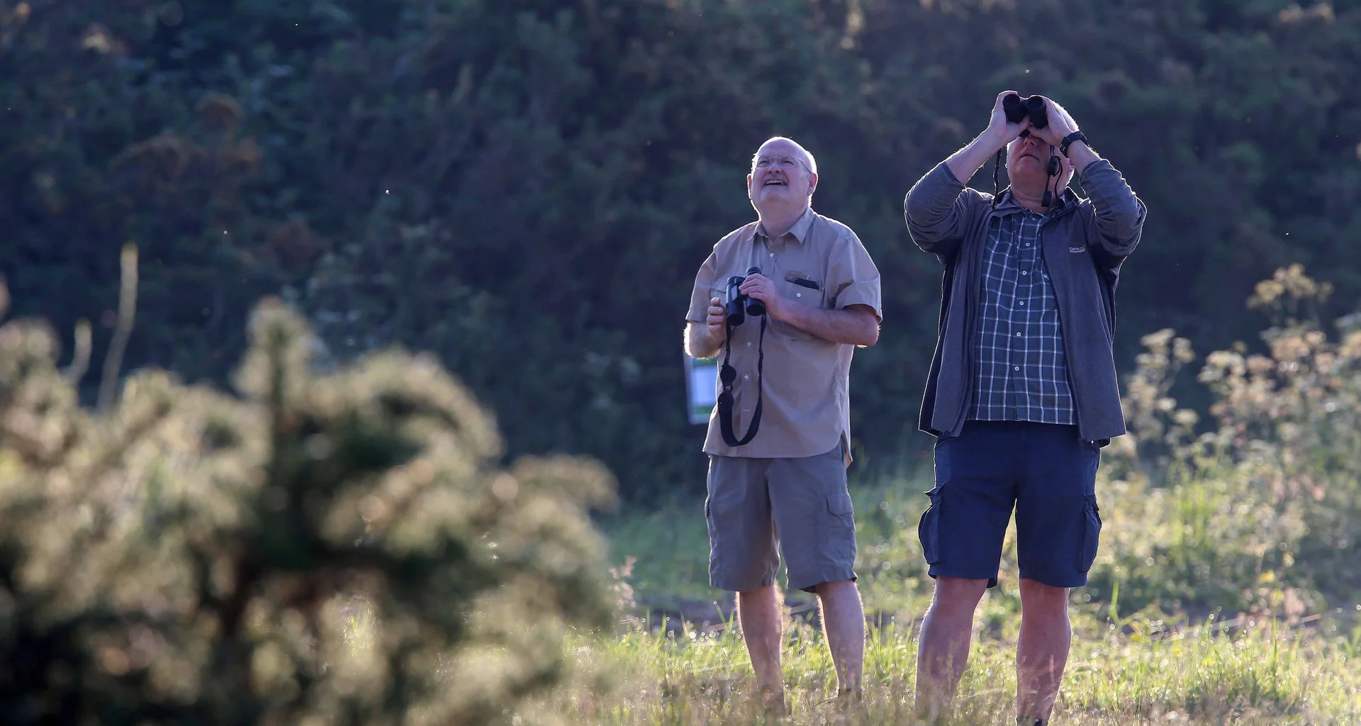 The R&A has launched a BioBlitz Toolkit designed to help golf clubs around the world identify, record and celebrate the wildlife found on their courses.