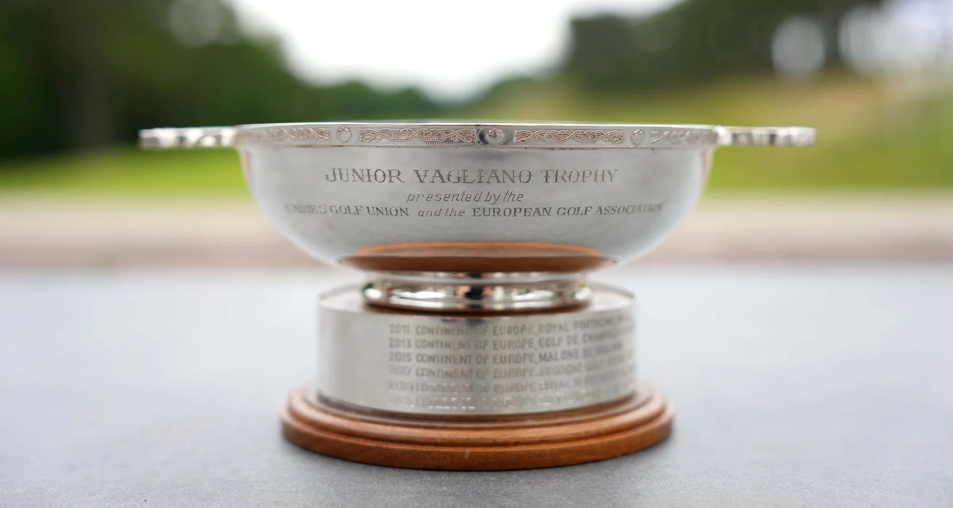 A detail shot of the Junior Vagliano trophy.