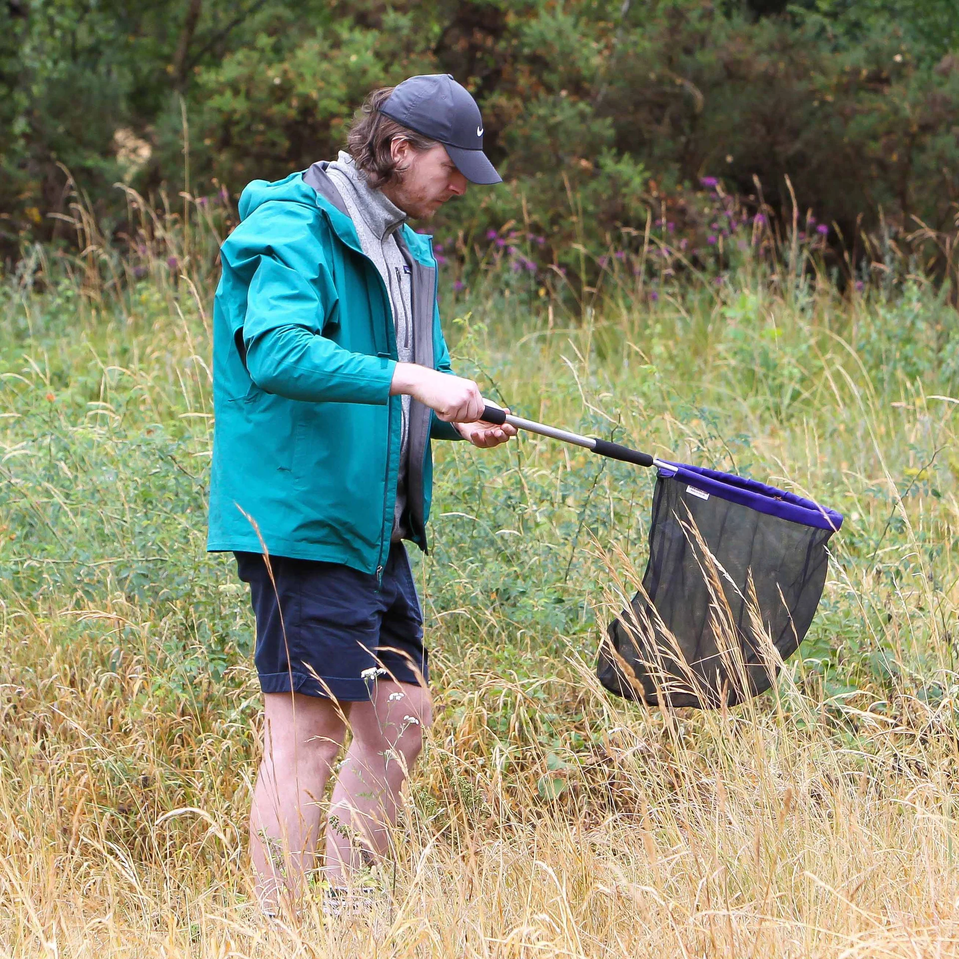 A man holds out an insect net while walking through long grass.