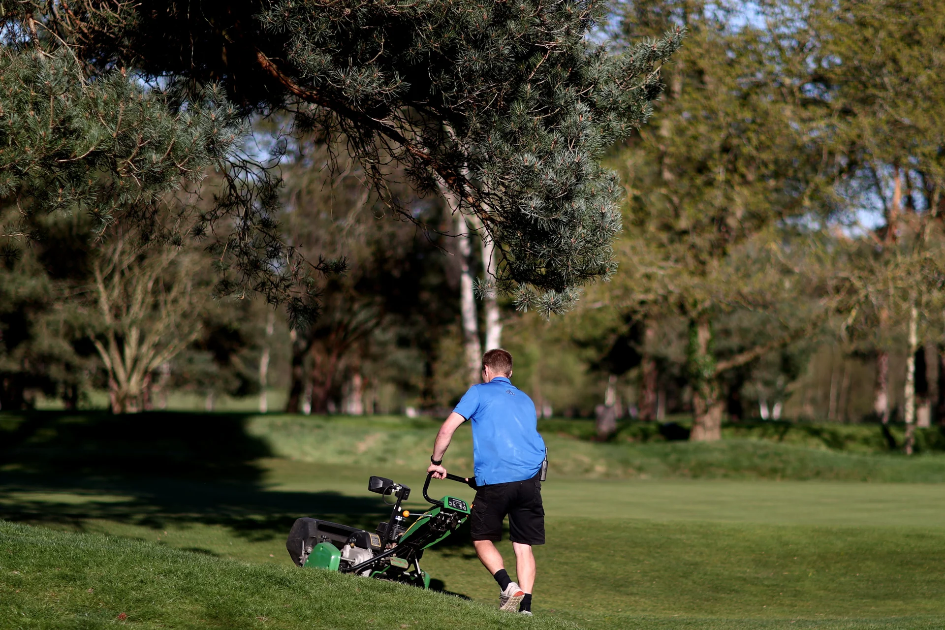 man cuts grass