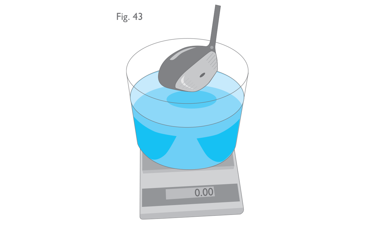 Fig 43:  Volume measurement